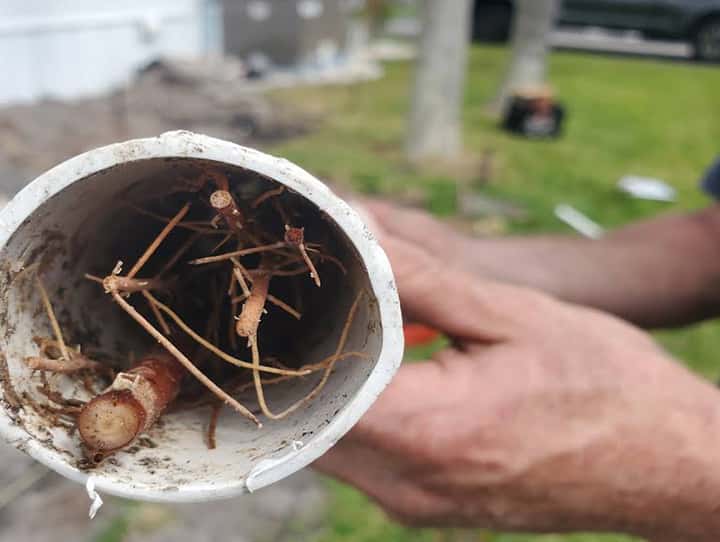 Clogged garbage disposal out line.